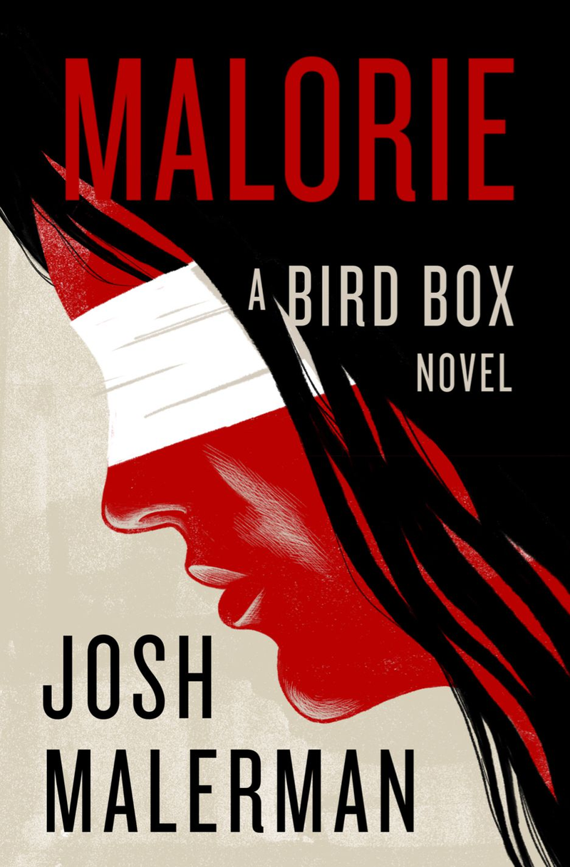 Illustration for article titled Remove thy blindfold, for a book sequel to Bird Box is ready to wreck your eyes